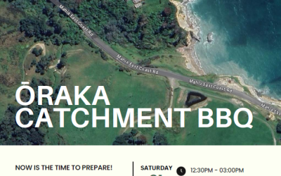 Ōraka Catchment BBQ